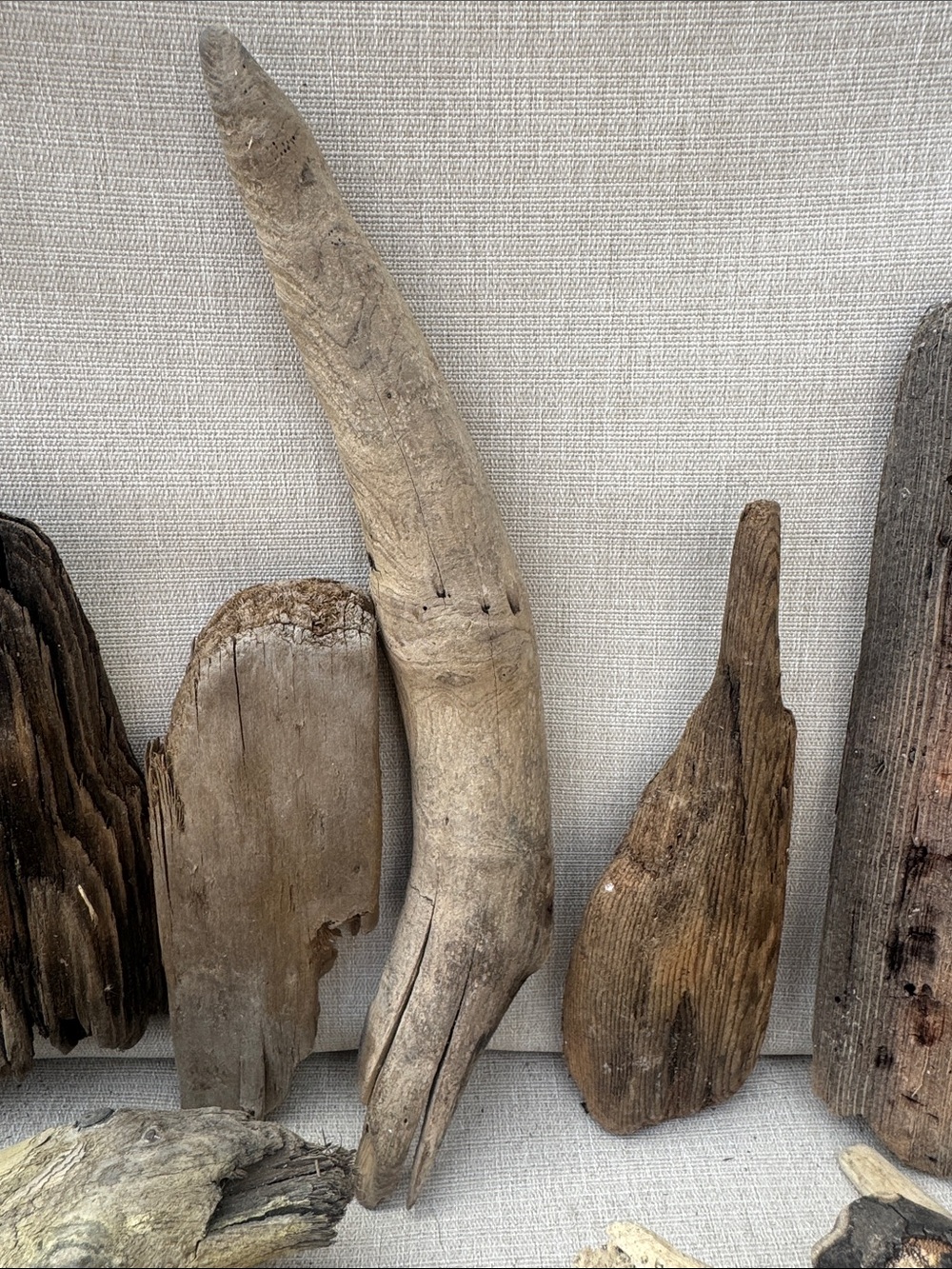 For LYNDA 19 pc (5 lb shipped) Natural Driftwood for Craft, Projects, Upcycle - Picture 9 of 16